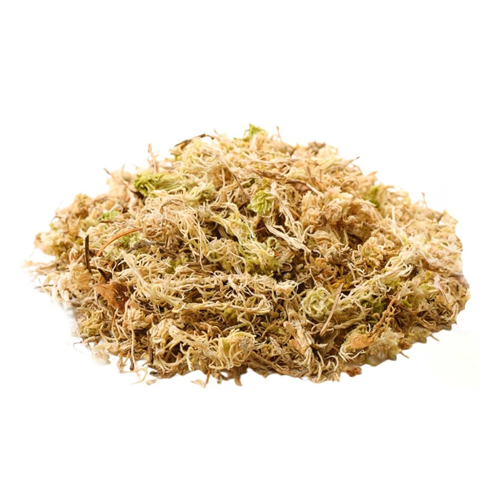 Wacool Spaghnum Moss 100g