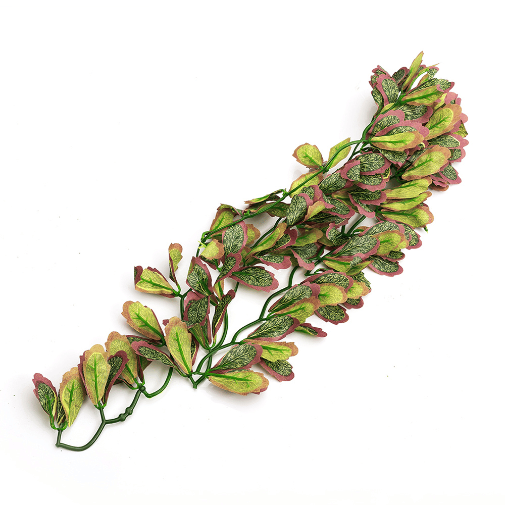 Wacool Var Marginatum Tiffany Artificial Terrarium Plant