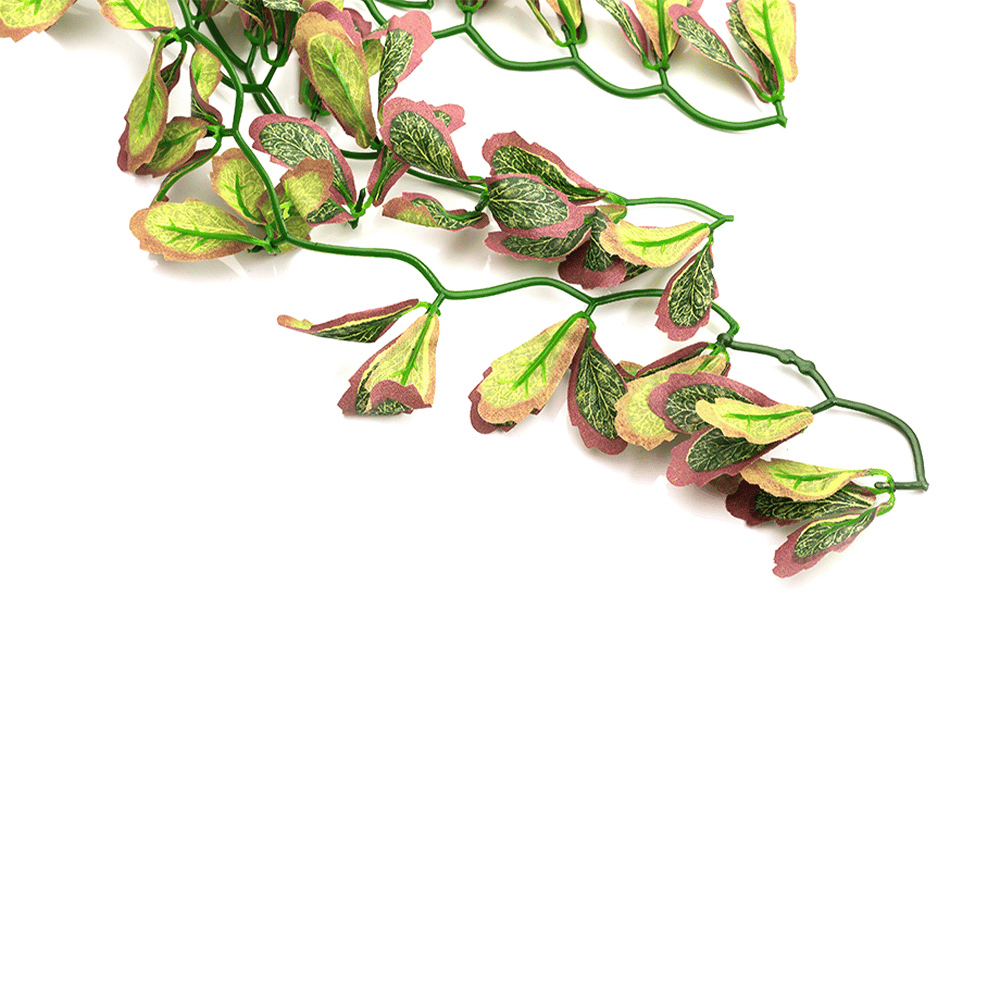 Wacool Var Marginatum Tiffany Artificial Terrarium Plant