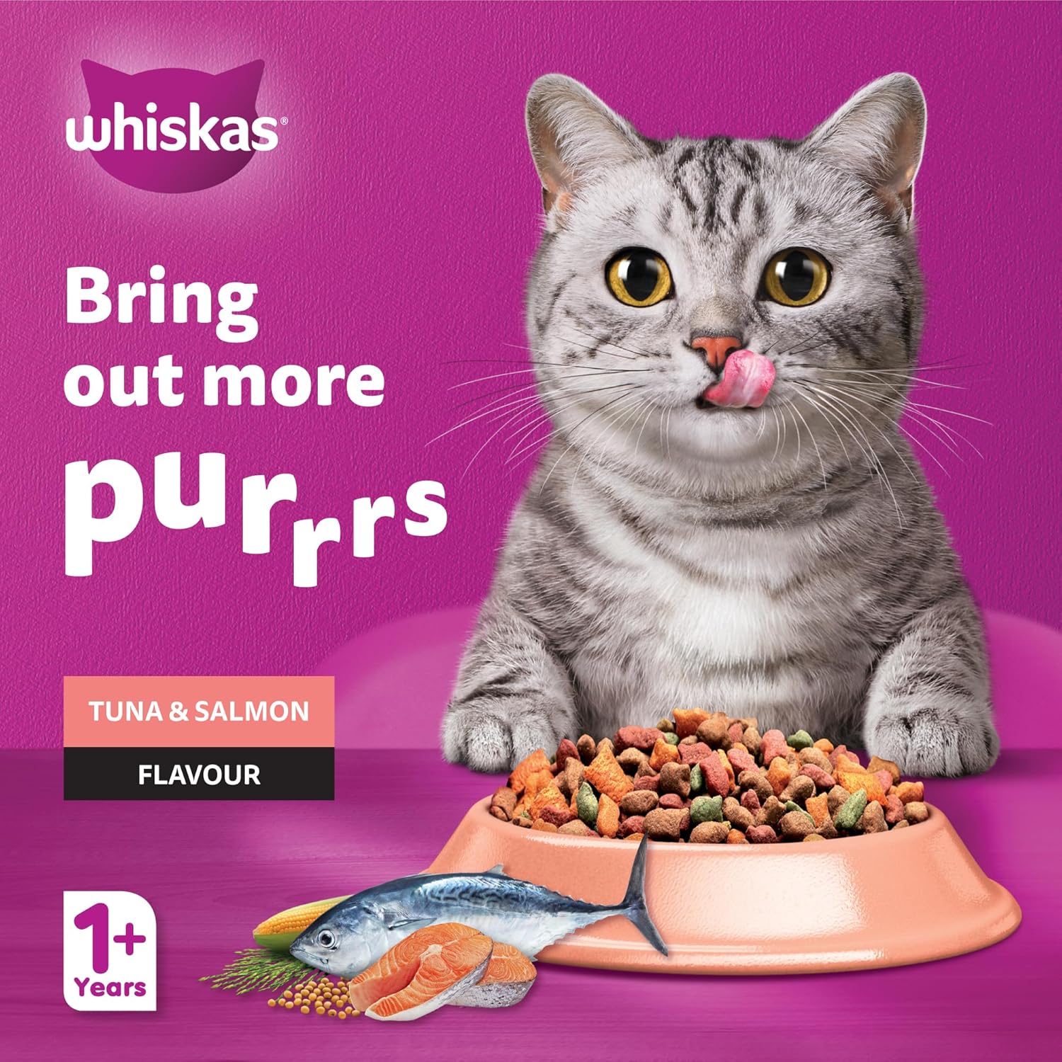 Whiskas Adult 1 Year Tuna and Salmon Flavour 1.2Kg