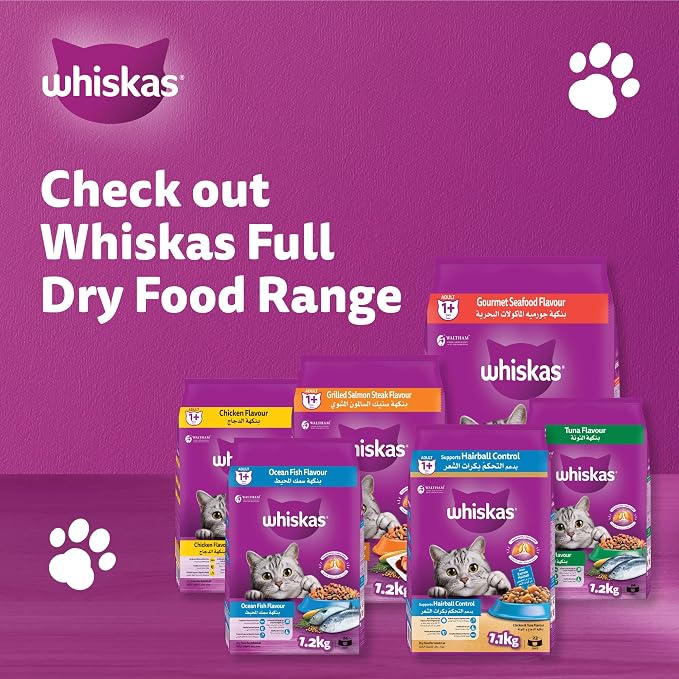 Whiskas Adult Chicken Dry Cat Food 480g