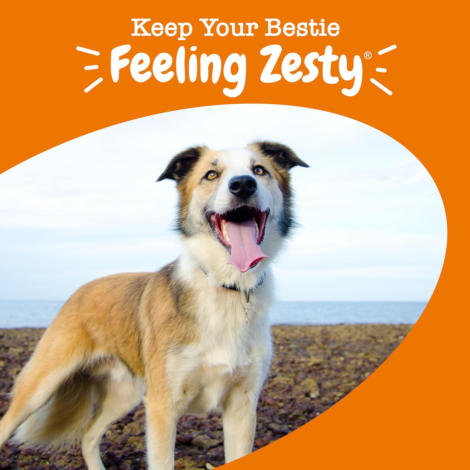 Zesty Paws 8-in-1 Multivitamin Bites – Chicken (90 Count)