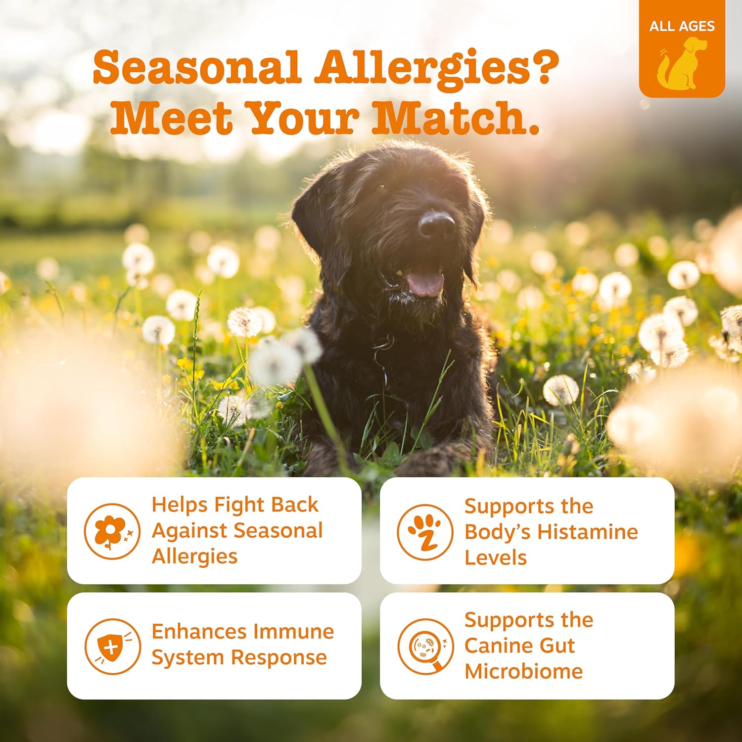Zesty Paws Allergy & Immune Bites – Lamb (90 Count)