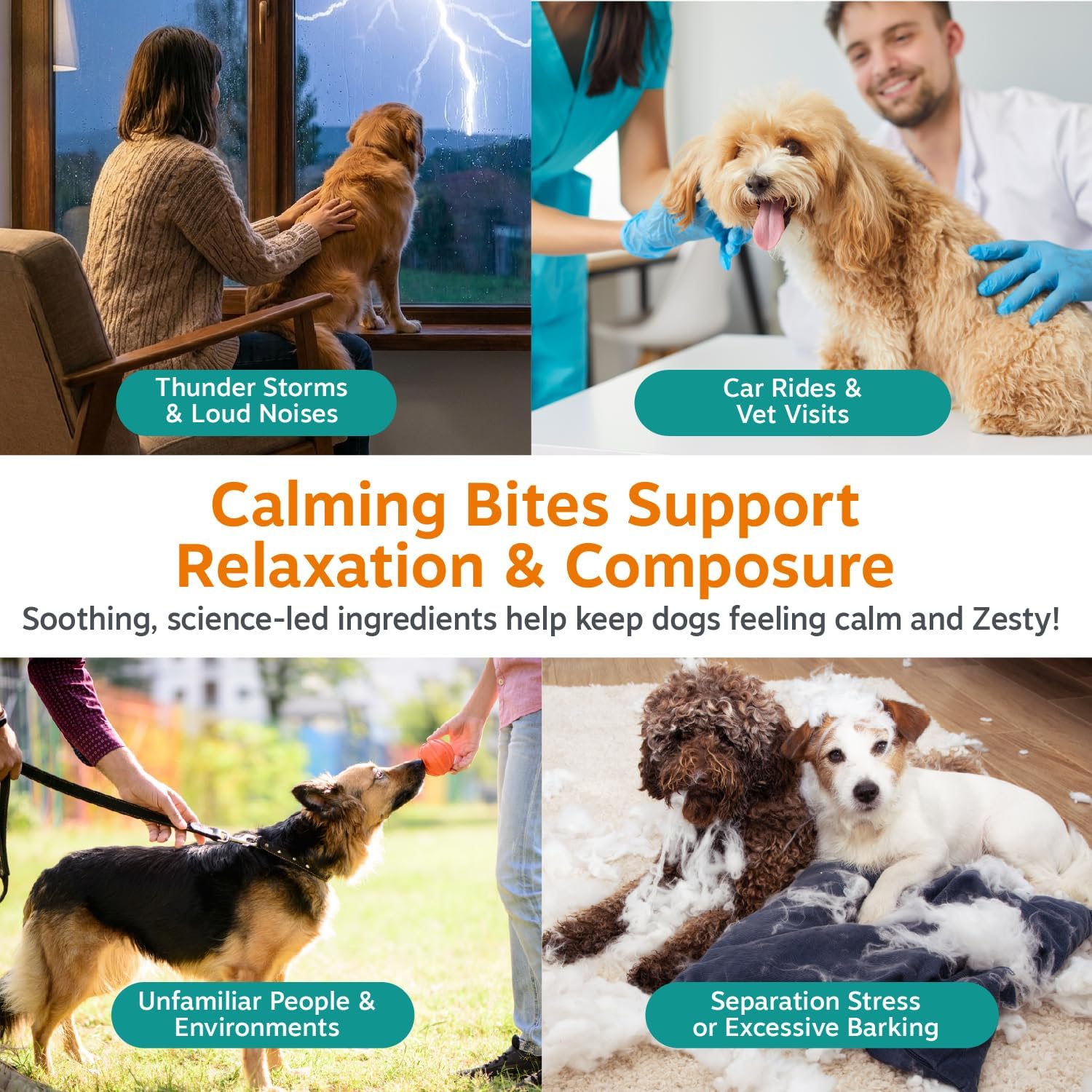 Zesty Paws Calming Bites – Peanut Butter (90 Count)