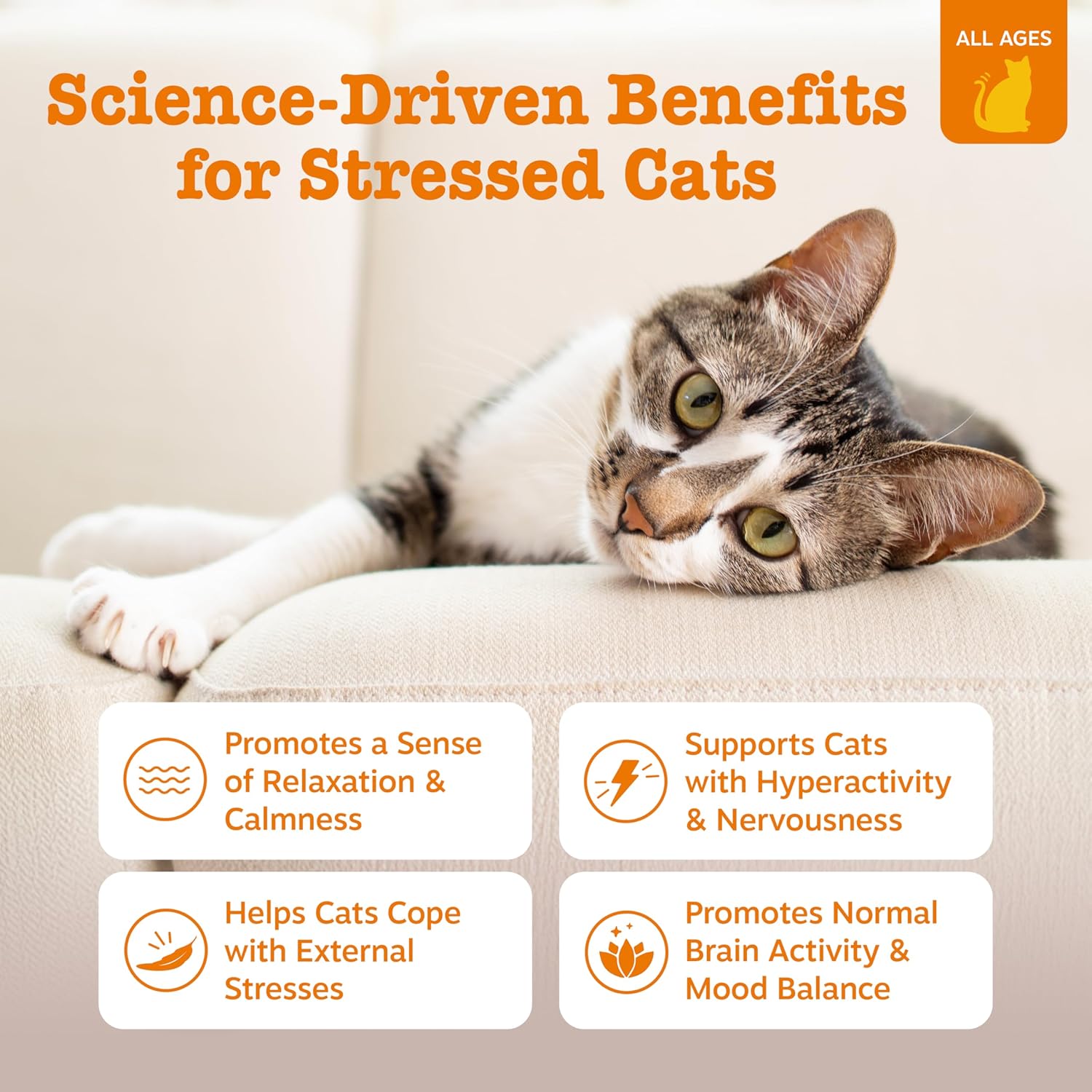 Zesty Paws Cat Calming Bites – Bacon (60 Count)