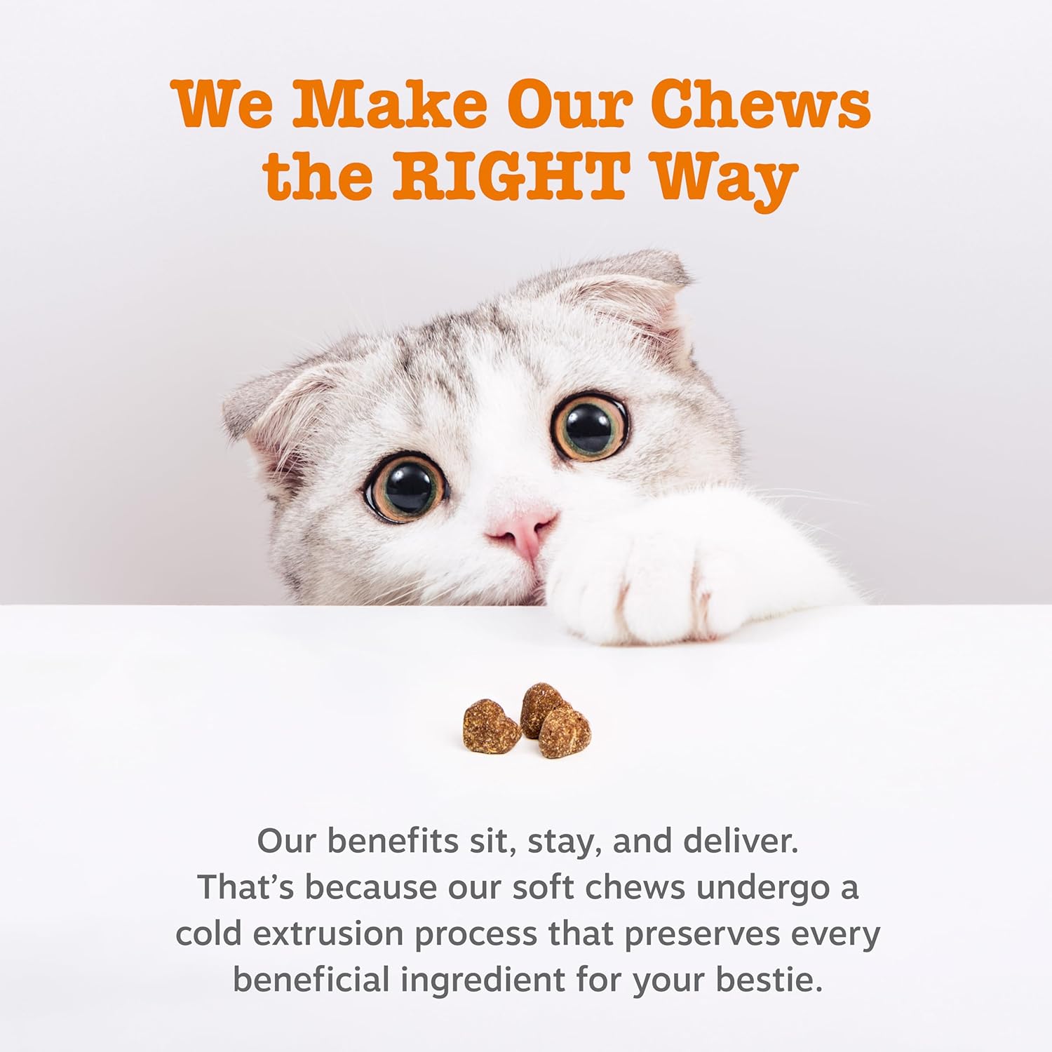 Zesty Paws Cat Calming Bites – Bacon (60 Count)