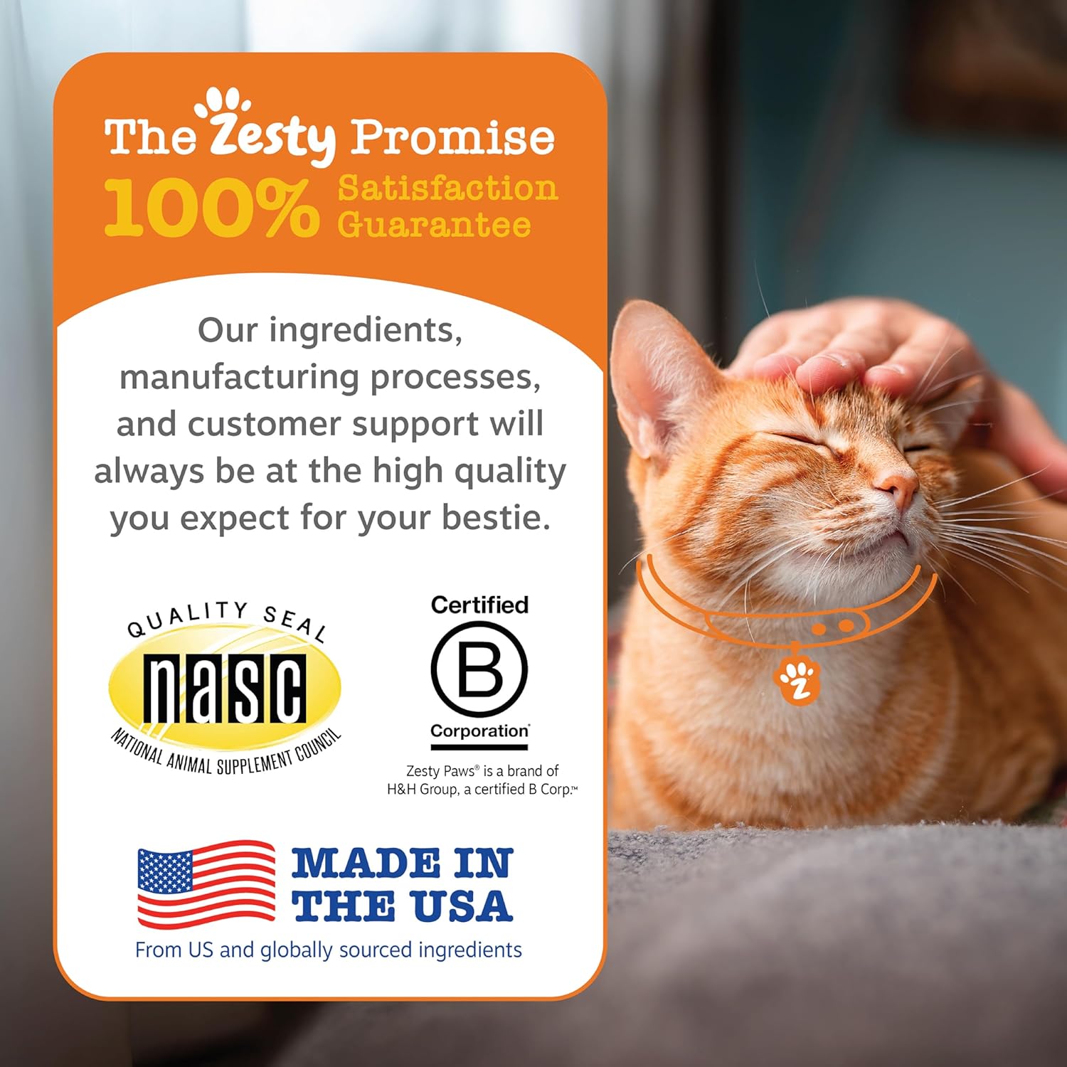 Zesty Paws Cat Calming Bites – Bacon (60 Count)