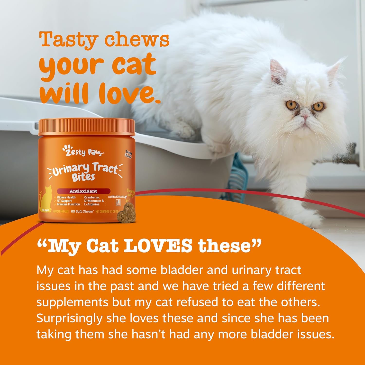 Zesty Paws Cat Cranberry Bladder Bites – Bacon (60 Count)