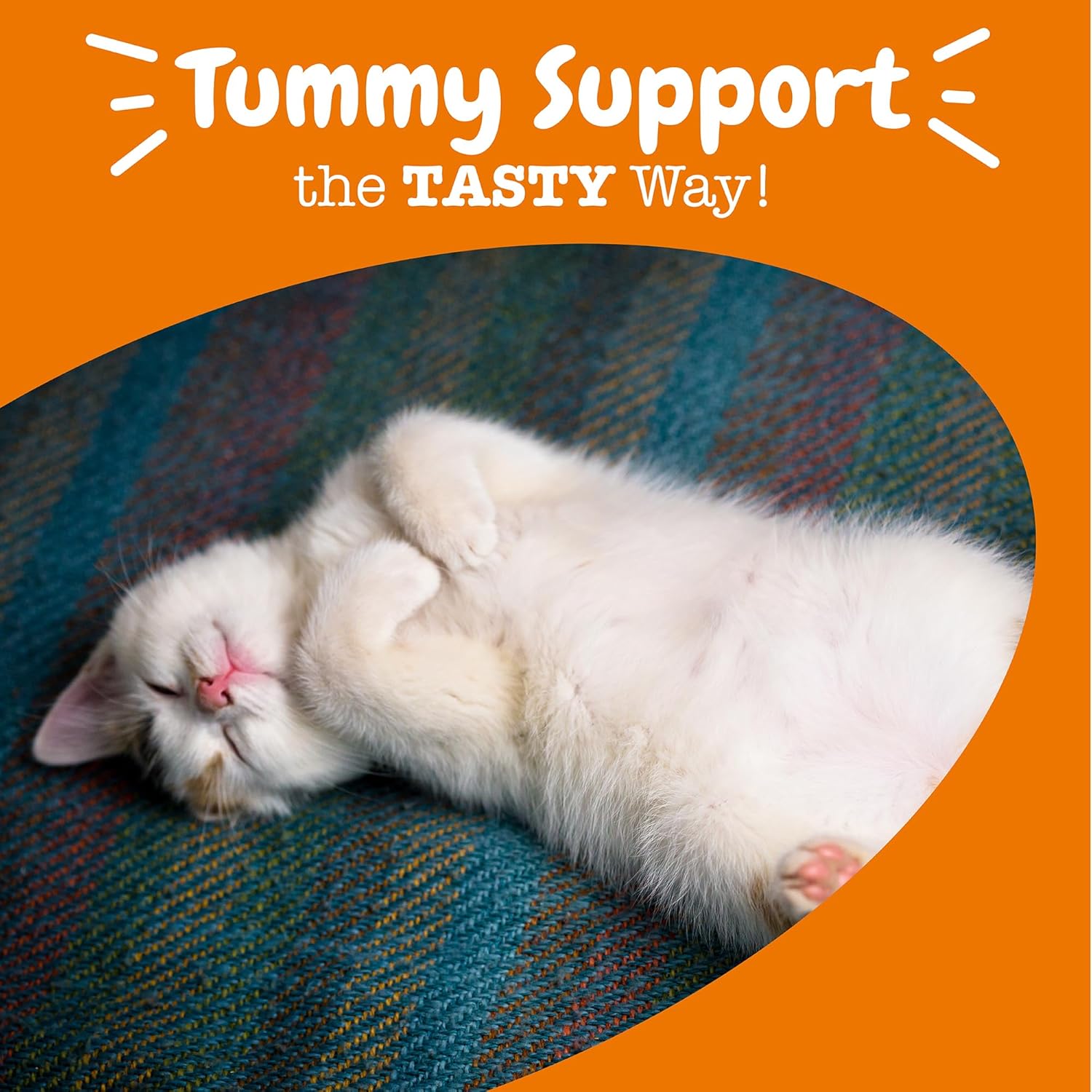 Zesty Paws Cat Probiotic Bites – Chicken (60 Count)