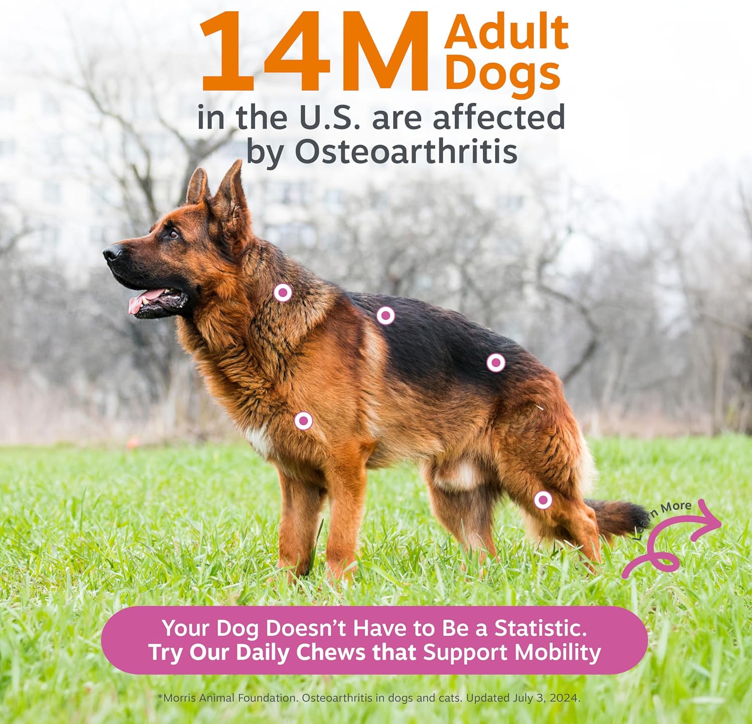 Zesty Paws Hip & Joint Bites – Duck (90 Count)