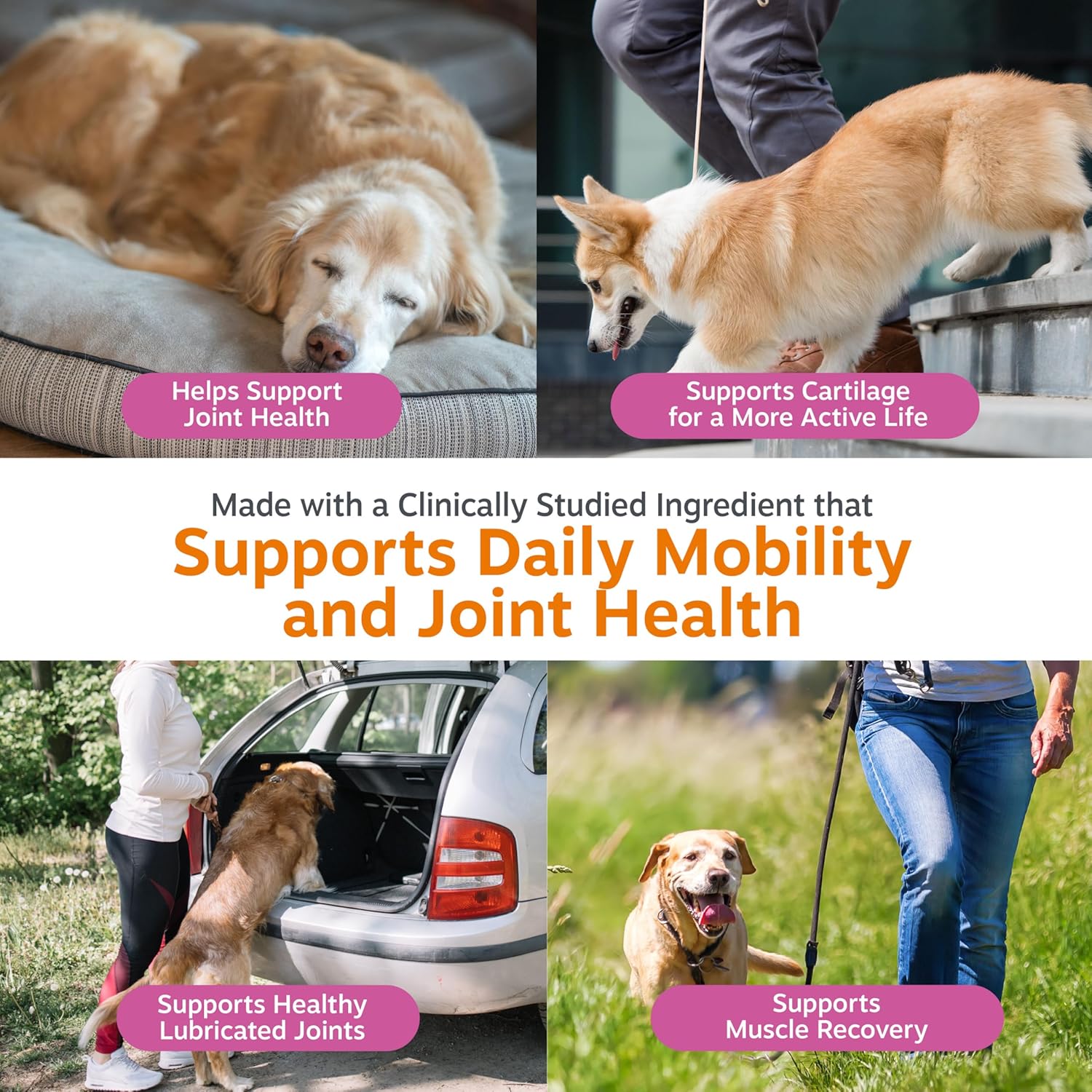 Zesty Paws Hip & Joint Bites – Duck (90 Count)