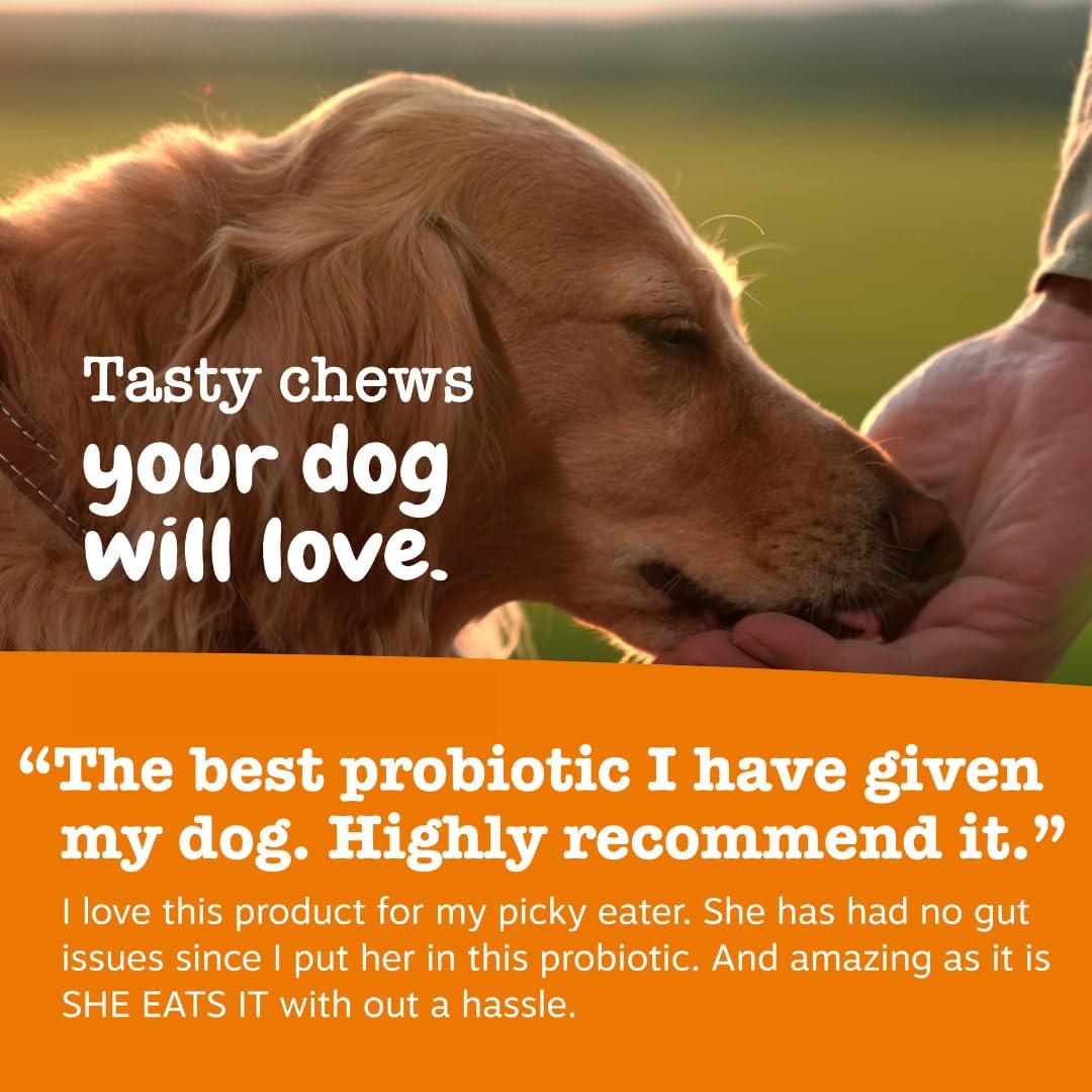 Zesty Paws Probiotic Bites – Pumpkin (90 Count)