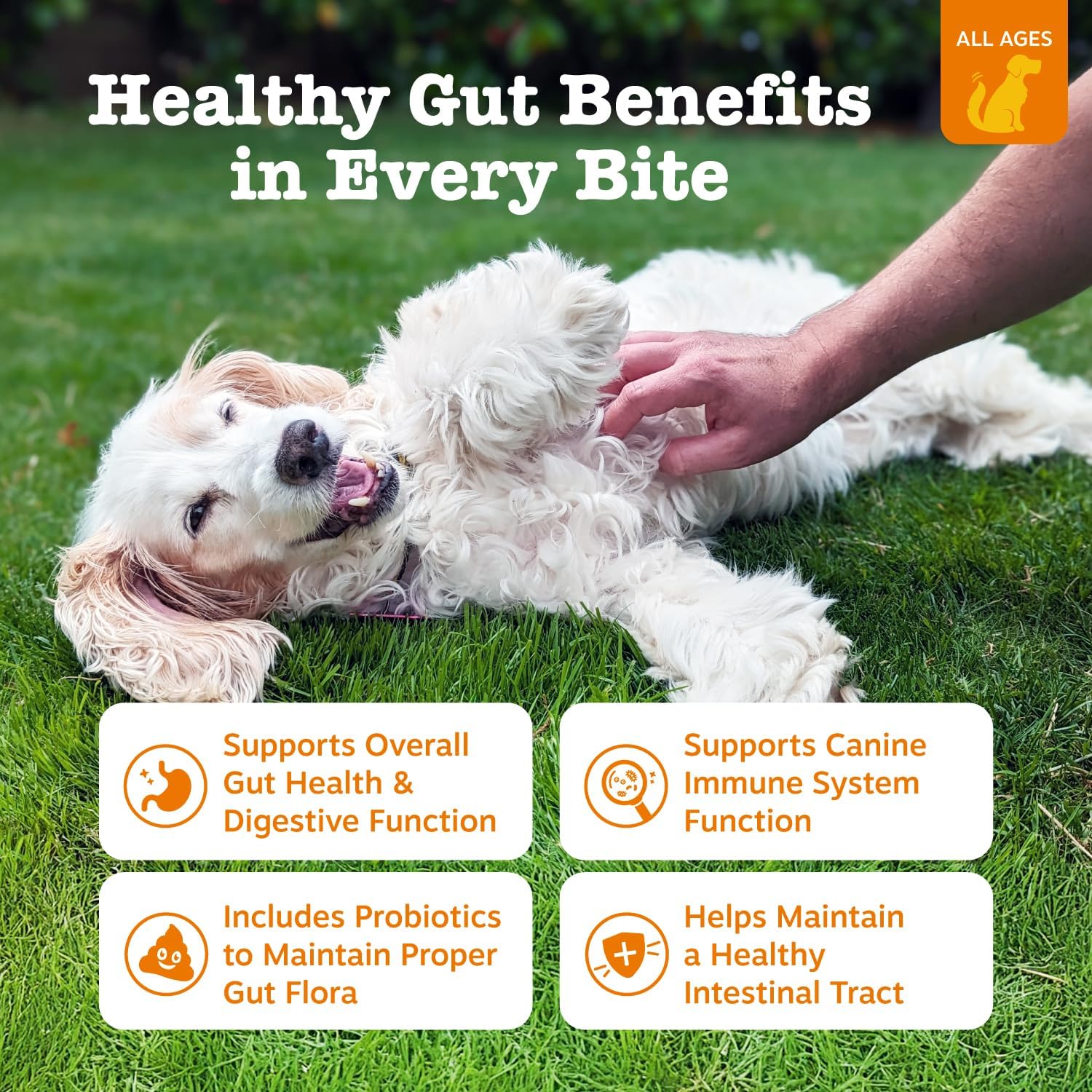 Zesty Paws Probiotic Bites – Pumpkin (90 Count)