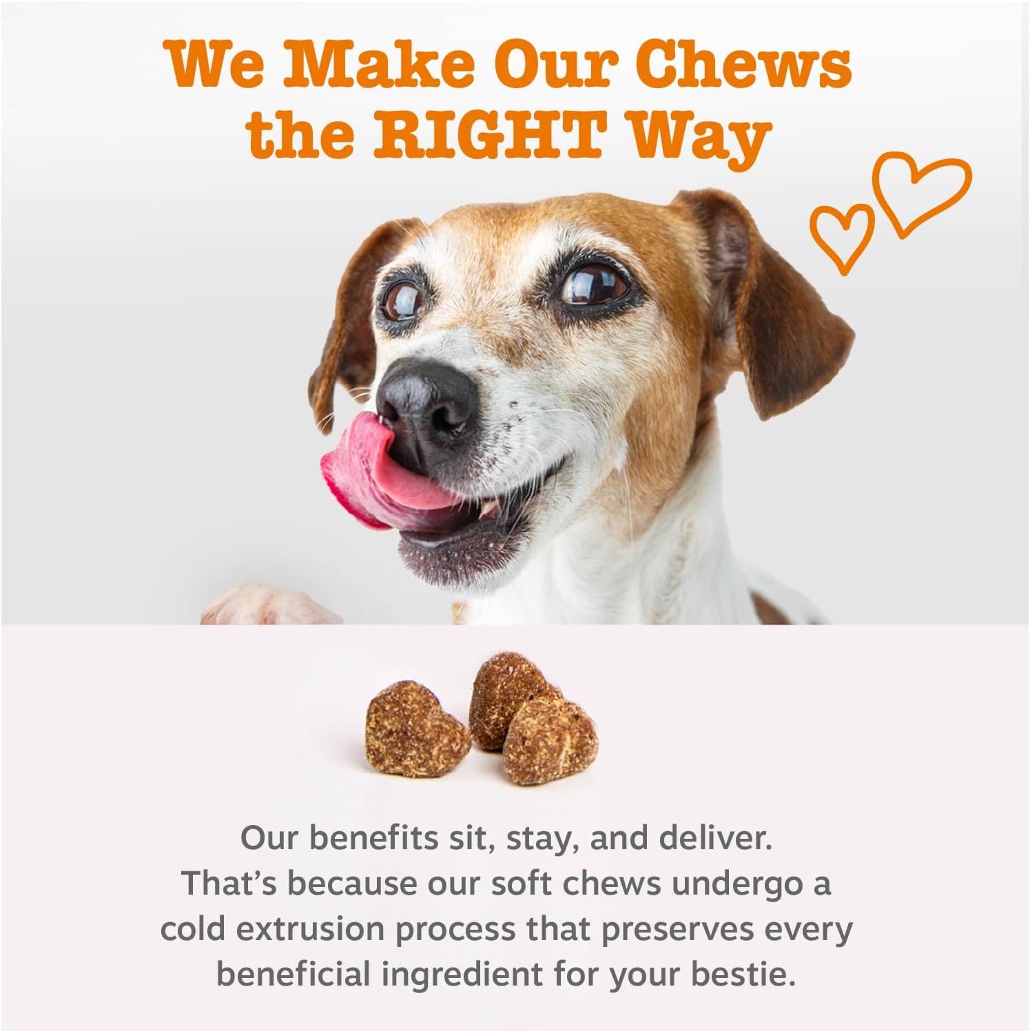 Zesty Paws Skin & Coat Bites – Chicken (90 Count)